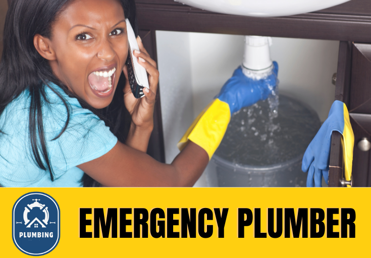 emergency plumber Gravesend