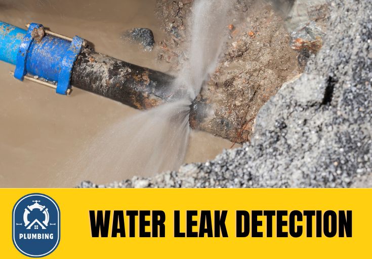 leak detection Gravesend