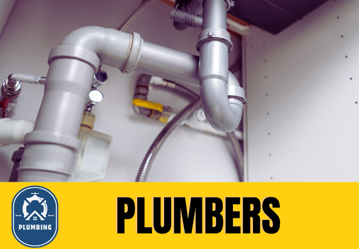  plumber Painters Ash